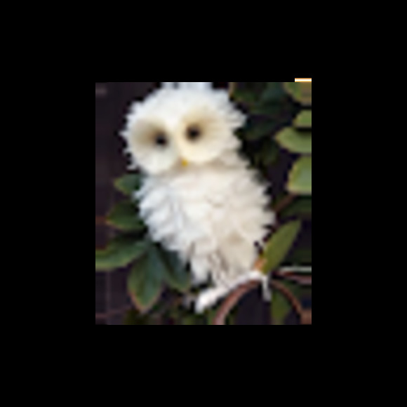 Meet your Posher, Frances - Picture 1 of 1